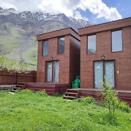 T&M Timeless Memories Διαμέρισμα Kazbegi Εξωτερικό φωτογραφία